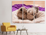 Leinwandbild 3-teilig Kitten Trio zum Verlieben
