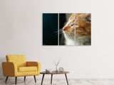 Leinwandbild 3-teilig Kitten Nase