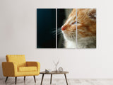 Leinwandbild 3-teilig Kitten Nase