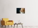 Leinwandbild 3-teilig Kitten Nase