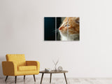 Leinwandbild 3-teilig Kitten Nase