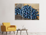 Leinwandbild 3-teilig Frische Heidelbeeren