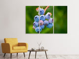 Leinwandbild 3-teilig Heidelbeeren in der Natur