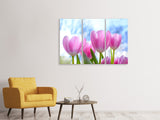Leinwandbild 3-teilig Tulpen in der Natur