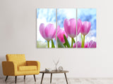 Leinwandbild 3-teilig Tulpen in der Natur