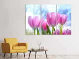 Leinwandbild 3-teilig Tulpen in der Natur