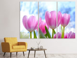 Leinwandbild 3-teilig Tulpen in der Natur