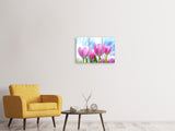 Leinwandbild 3-teilig Tulpen in der Natur