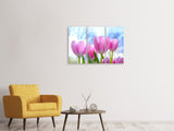 Leinwandbild 3-teilig Tulpen in der Natur
