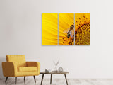 Leinwandbild 3-teilig Biene auf der Sonnenblume
