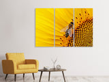 Leinwandbild 3-teilig Biene auf der Sonnenblume