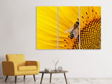 Leinwandbild 3-teilig Biene auf der Sonnenblume