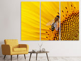 Leinwandbild 3-teilig Biene auf der Sonnenblume
