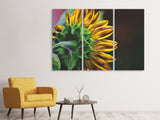 Leinwandbild 3-teilig Sonnenblume Close up