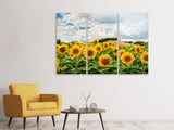 Leinwandbild 3-teilig Landschaft mit Sonnenblumen