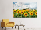 Leinwandbild 3-teilig Landschaft mit Sonnenblumen