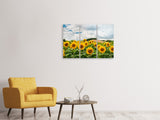Leinwandbild 3-teilig Landschaft mit Sonnenblumen
