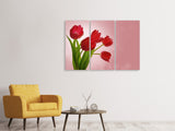 Leinwandbild 3-teilig Roter Tulpenstrauss