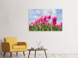 Leinwandbild 3-teilig Tulpenfeld in rosa