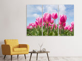 Leinwandbild 3-teilig Tulpenfeld in rosa
