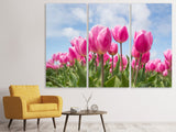Leinwandbild 3-teilig Tulpenfeld in rosa