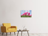 Leinwandbild 3-teilig Tulpenfeld in rosa