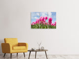 Leinwandbild 3-teilig Tulpenfeld in rosa