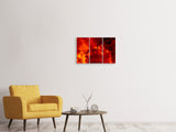 Leinwandbild 3-teilig Roter Sternenhimmel