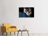 Leinwandbild 3-teilig Astronaut in XL