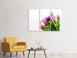 Leinwandbild 3-teilig Tulpen in XL