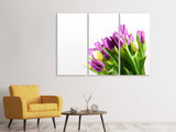 Leinwandbild 3-teilig Tulpen in XL