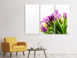 Leinwandbild 3-teilig Tulpen in XL