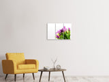 Leinwandbild 3-teilig Tulpen in XL
