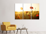 Leinwandbild 3-teilig Mohn im Sonnenuntergang