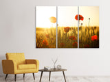 Leinwandbild 3-teilig Mohn im Sonnenuntergang