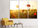 Leinwandbild 3-teilig Mohn im Sonnenuntergang