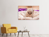 Leinwandbild 3-teilig Kitten zum Verlieben
