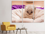 Leinwandbild 3-teilig Kitten zum Verlieben