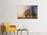 Leinwandbild 3-teilig Der schiefe Baum