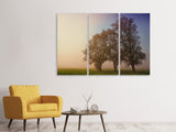 Leinwandbild 3-teilig Der schiefe Baum