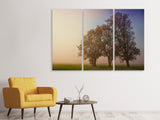 Leinwandbild 3-teilig Der schiefe Baum