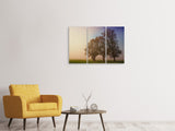 Leinwandbild 3-teilig Der schiefe Baum