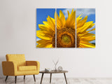 Leinwandbild 3-teilig Sonnenblume in XXL