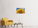 Leinwandbild 3-teilig Sonnenblume in XXL