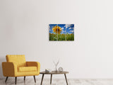 Leinwandbild 3-teilig Eine Sonnenblume unter vielen