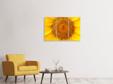 Leinwandbild 3-teilig Wunderschöne Knospen der Sonnenblume