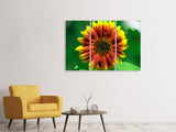 Leinwandbild 3-teilig Farbenprächtige Sonnenblume