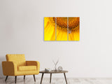 Leinwandbild 3-teilig Close up Gelbe Knospe