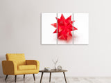 Leinwandbild 3-teilig Roter Weihnachtsstern
