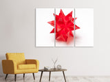Leinwandbild 3-teilig Roter Weihnachtsstern